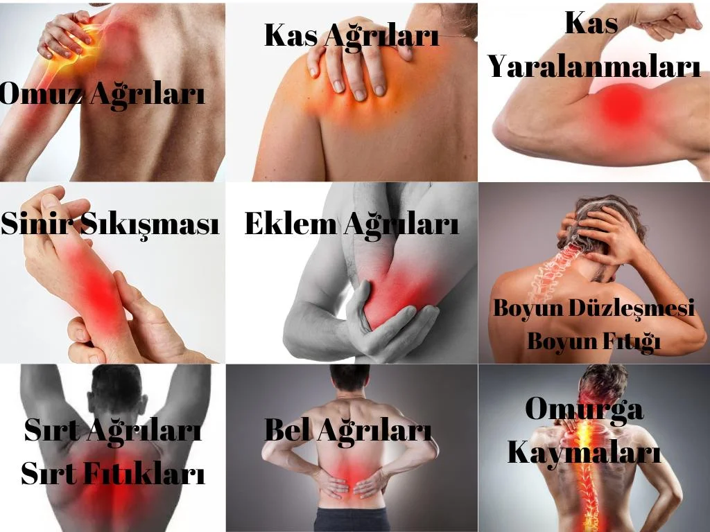 WhatsApp Image 2025-11-13 at 11.55.30